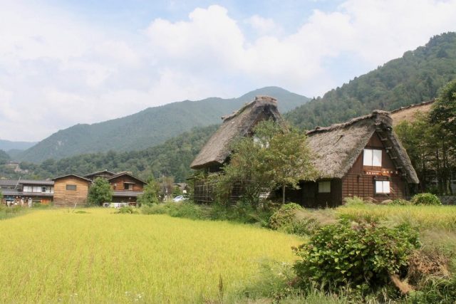 Qué hacer en Shirakawa-go, un paseo por la aldea histórica de Japón