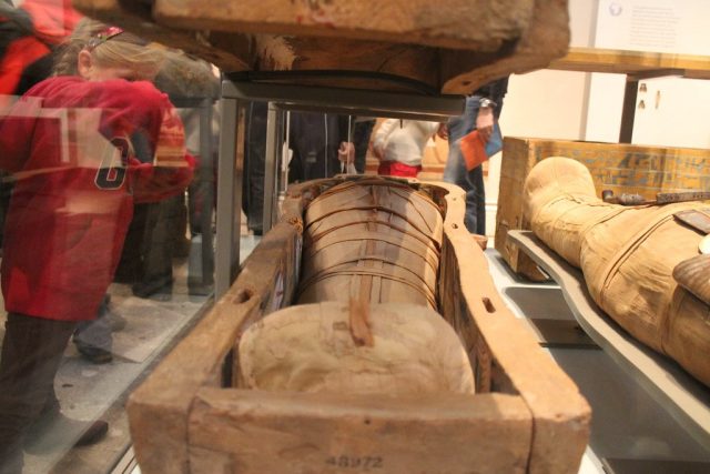 Momia Museo Británico de Londres