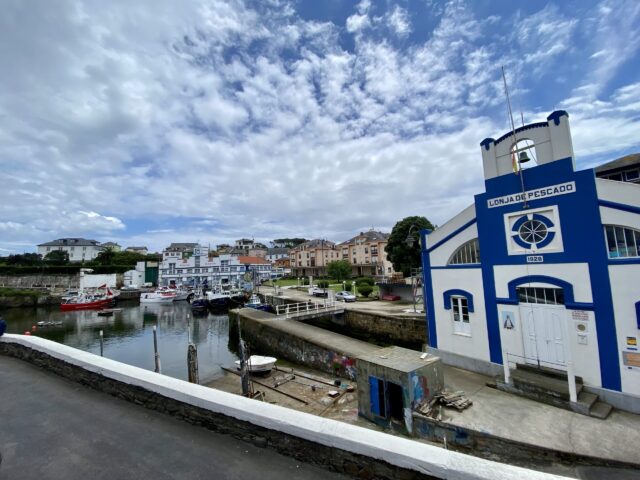 Lonja pescado Puerto de Vega Asturias